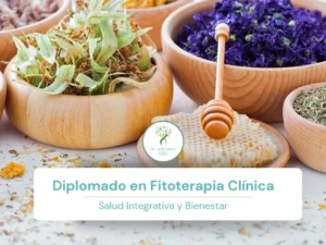 Diplomado en Fitoterapia Clinica.webp