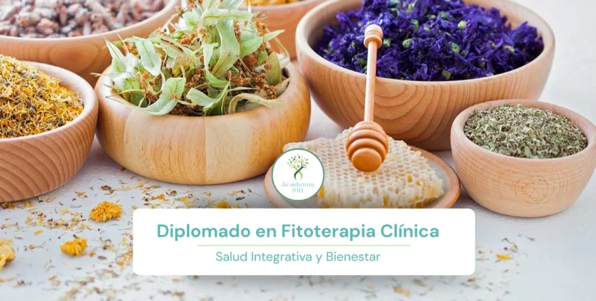 Diplomado en Fitoterapia Clinica.webp